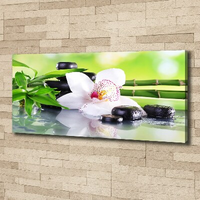Foto obraz canvas Orchidea