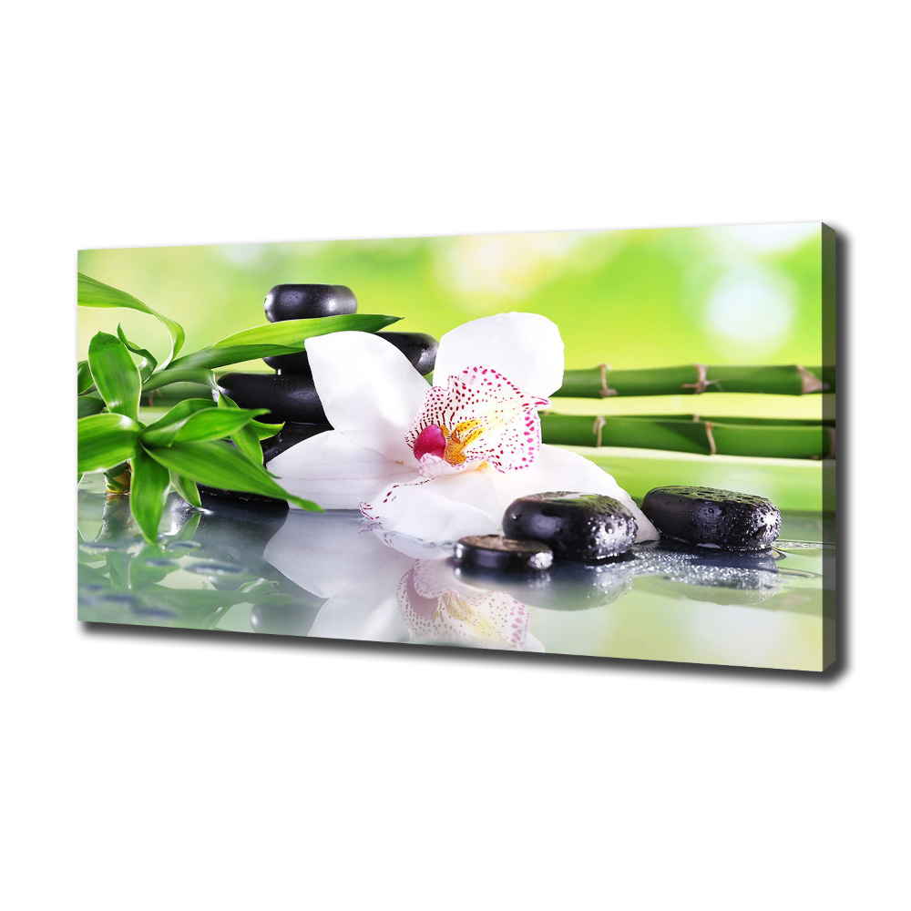 Foto obraz canvas Orchidea
