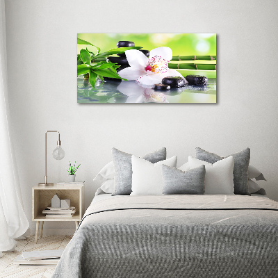 Foto obraz canvas Orchidea