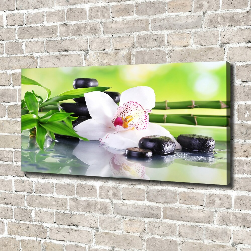 Foto obraz canvas Orchidea