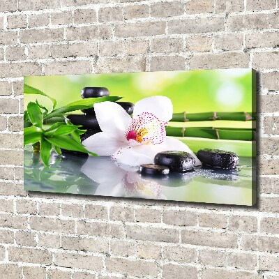 Foto obraz canvas Orchidea