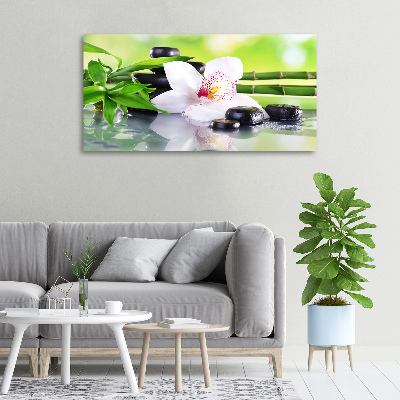Foto obraz canvas Orchidea
