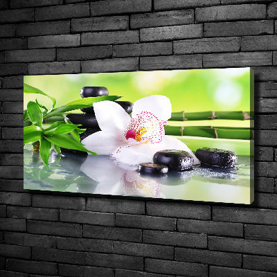 Foto obraz canvas Orchidea