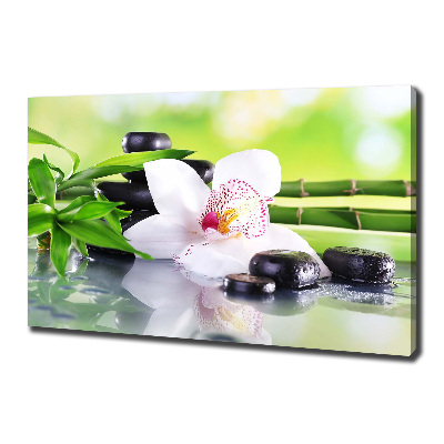 Foto obraz canvas Orchidea