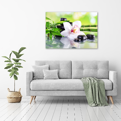 Foto obraz canvas Orchidea