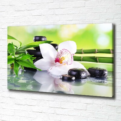 Foto obraz canvas Orchidea