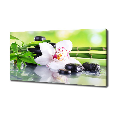 Foto obraz canvas Orchidea