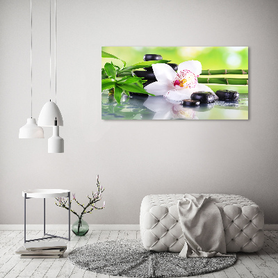 Foto obraz canvas Orchidea