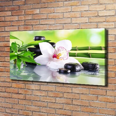 Foto obraz canvas Orchidea