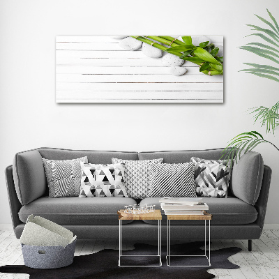 Duży foto obraz na ścianę canvas Bambus