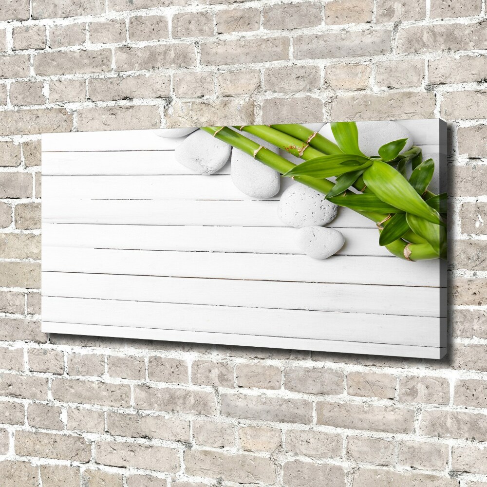Duży foto obraz na ścianę canvas Bambus