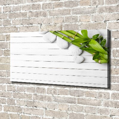 Duży foto obraz na ścianę canvas Bambus