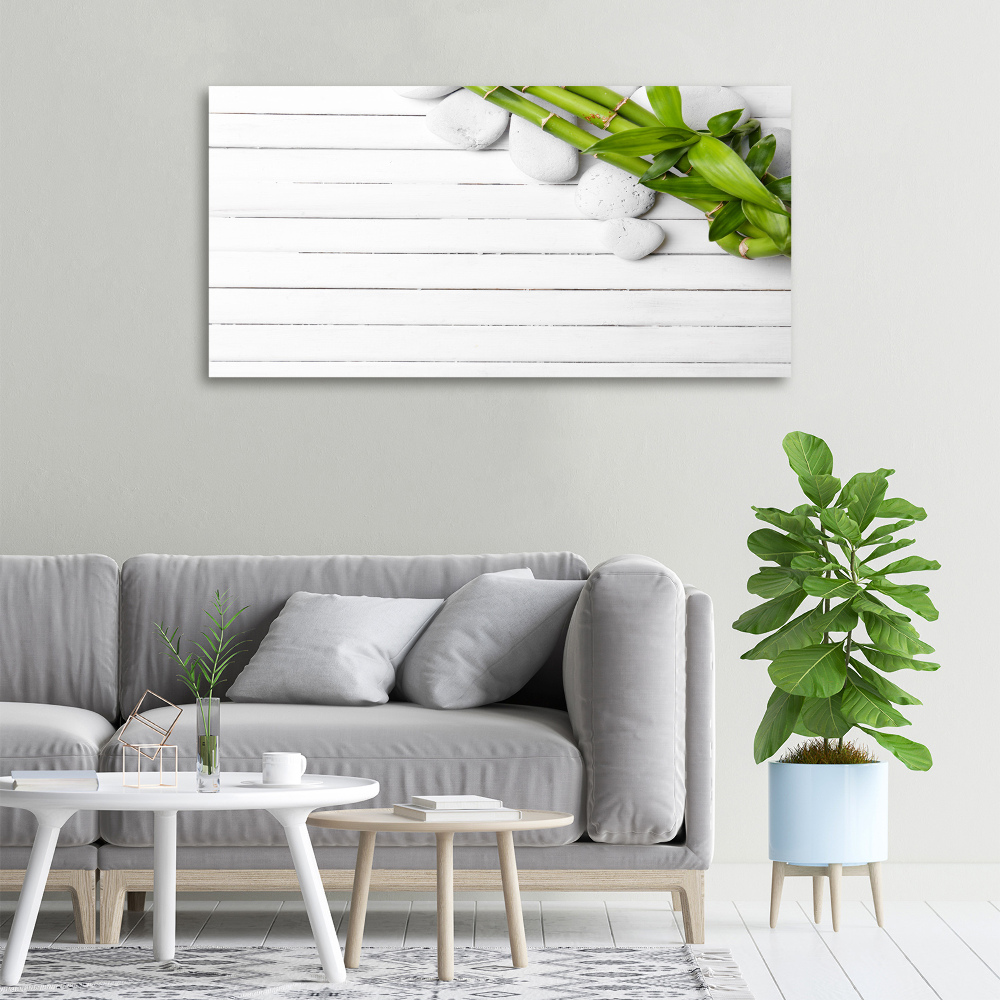 Duży foto obraz na ścianę canvas Bambus