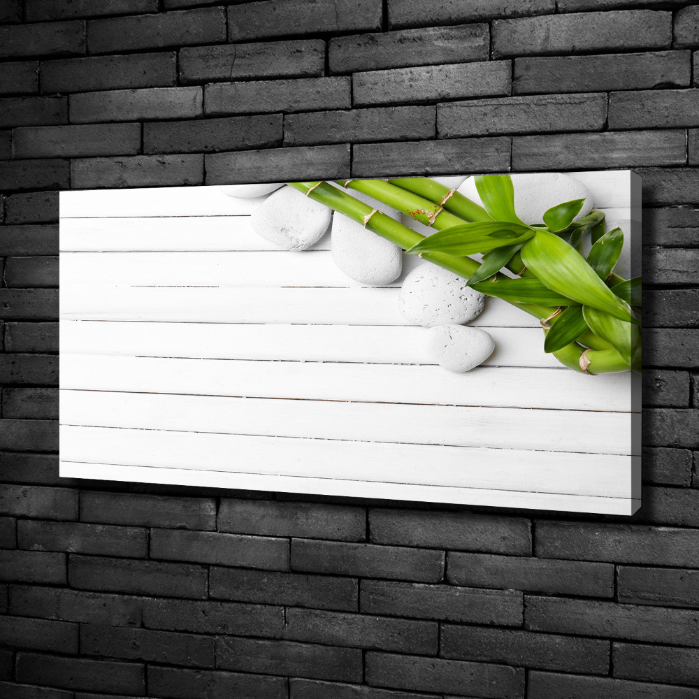 Duży foto obraz na ścianę canvas Bambus