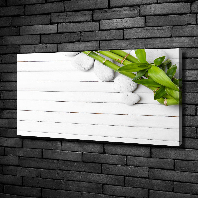 Duży foto obraz na ścianę canvas Bambus