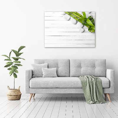 Duży foto obraz na ścianę canvas Bambus