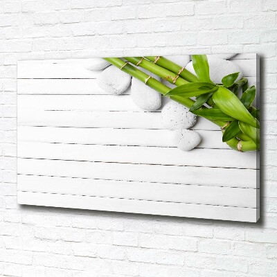 Duży foto obraz na ścianę canvas Bambus
