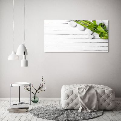Duży foto obraz na ścianę canvas Bambus
