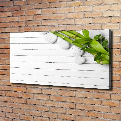 Duży foto obraz na ścianę canvas Bambus