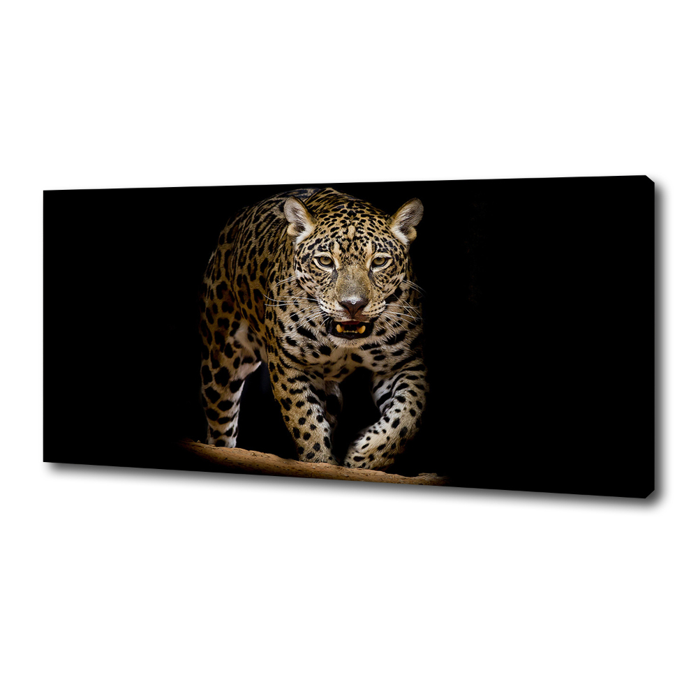 Duży foto obraz na ścianę canvas Jaguar