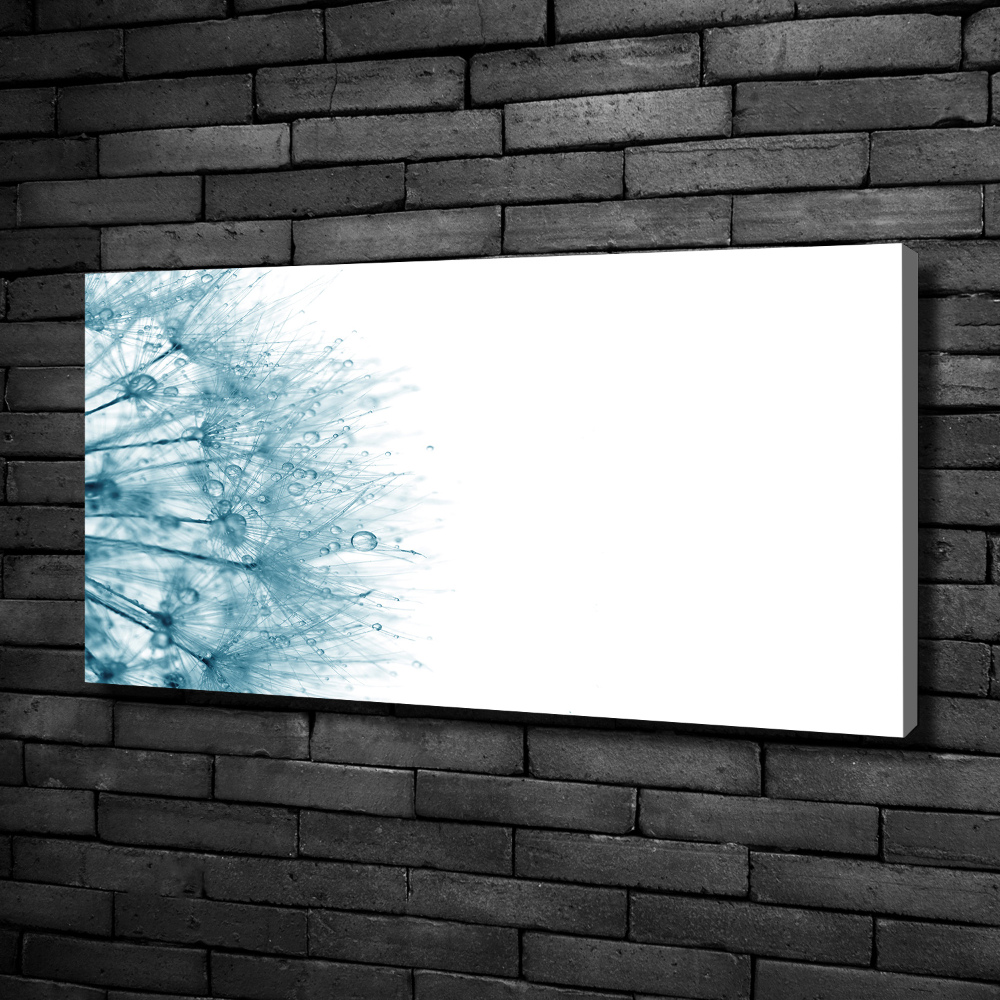 Foto obraz canvas Dmuchawiec