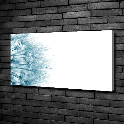 Foto obraz canvas Dmuchawiec