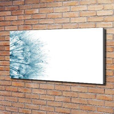 Foto obraz canvas Dmuchawiec