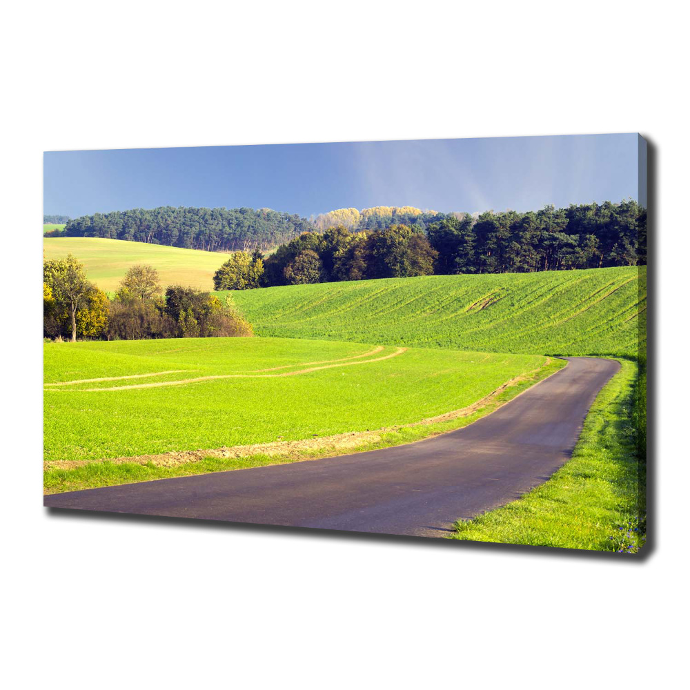 Foto obraz canvas Polna droga
