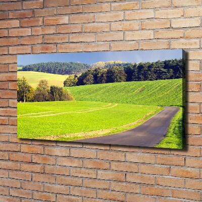 Foto obraz canvas Polna droga
