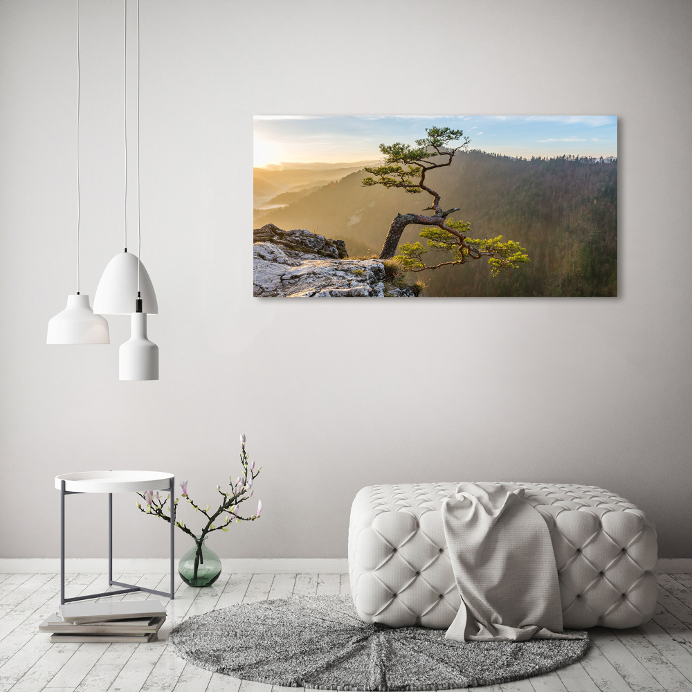 Foto obraz na płótnie Sokolica Pieniny