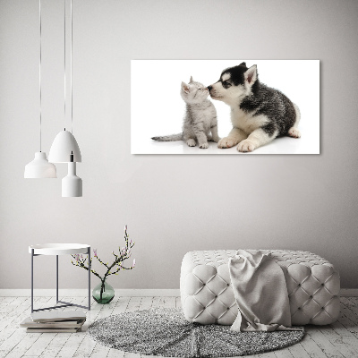 Foto obraz canvas Pies i kot