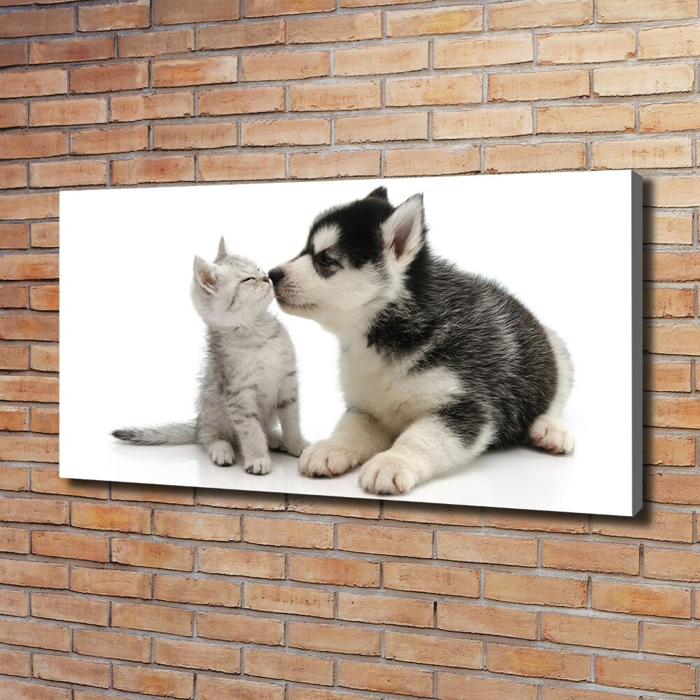 Foto obraz canvas Pies i kot