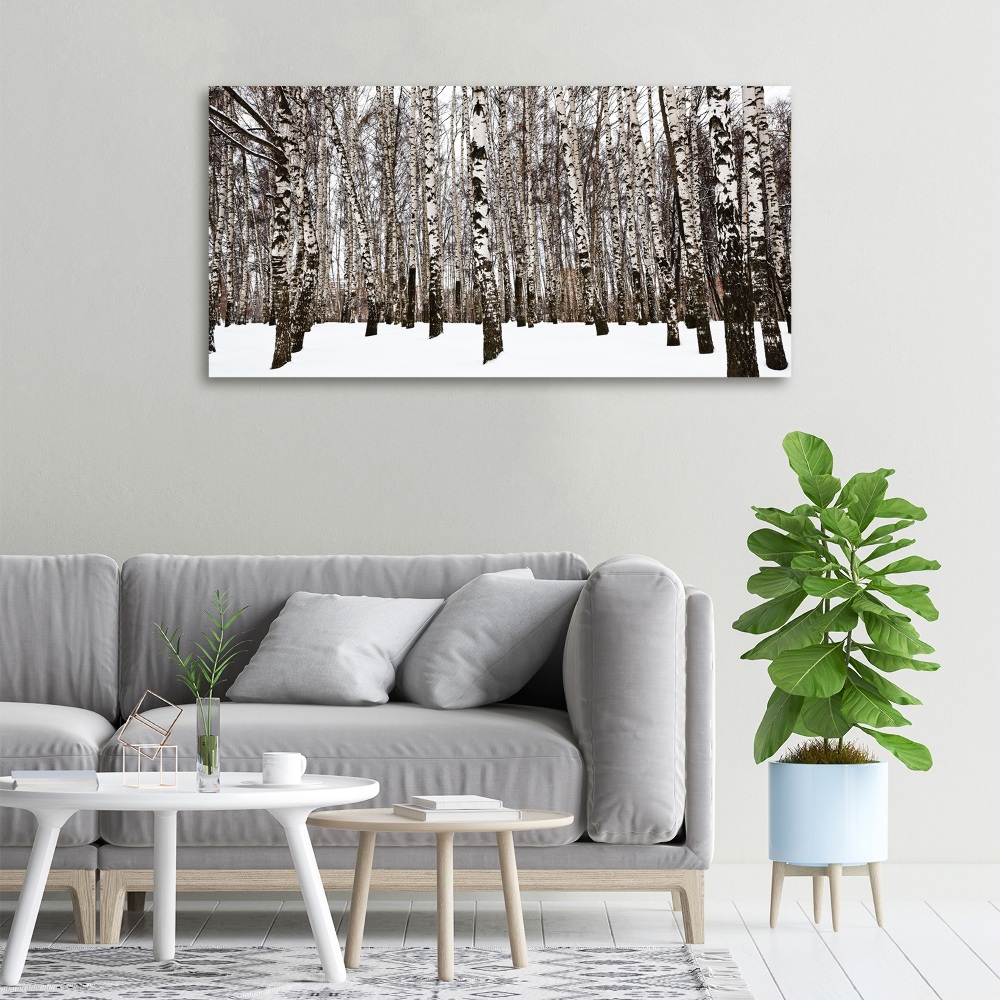 Foto obraz canvas Brzozy zimą