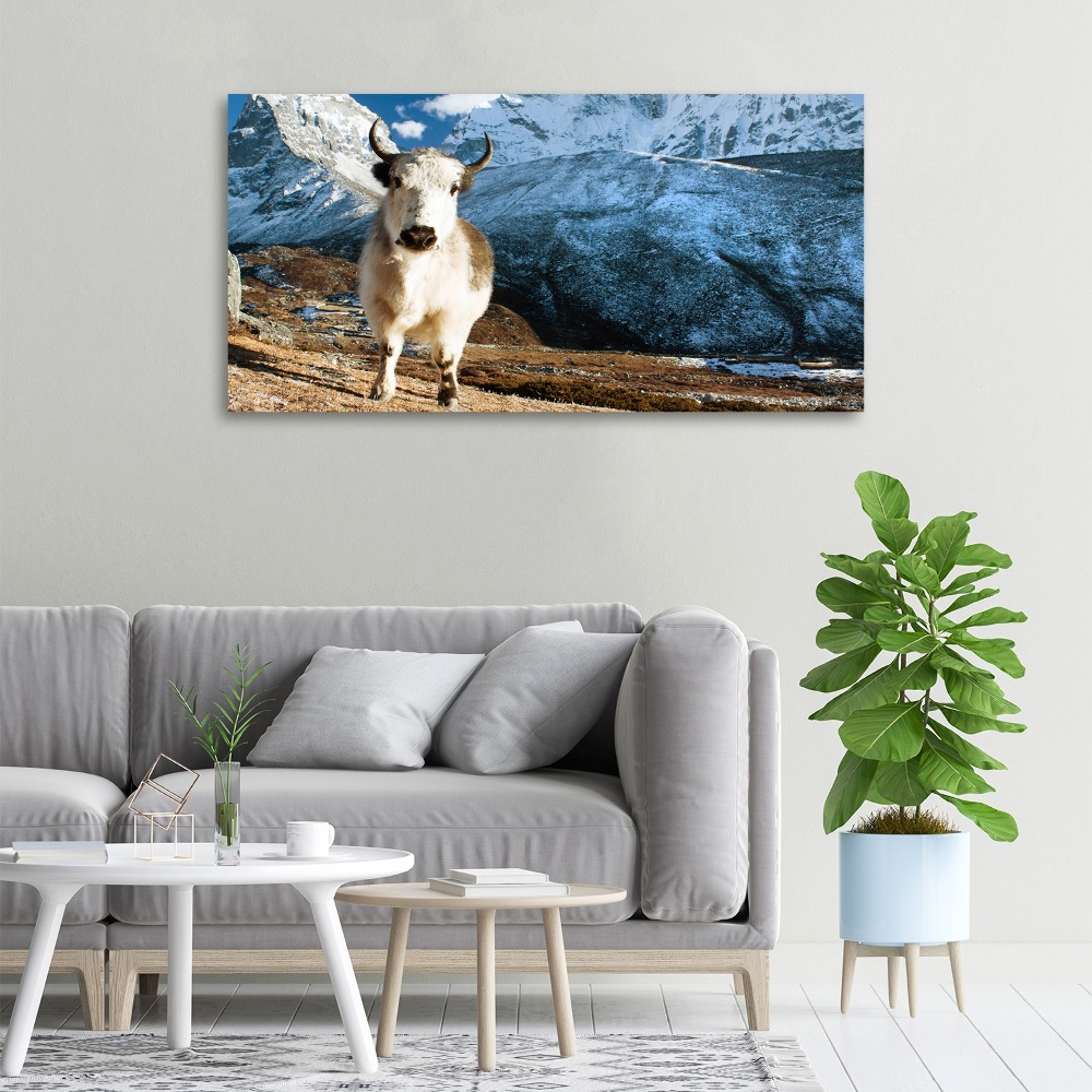 Foto obraz canvas Jak góry