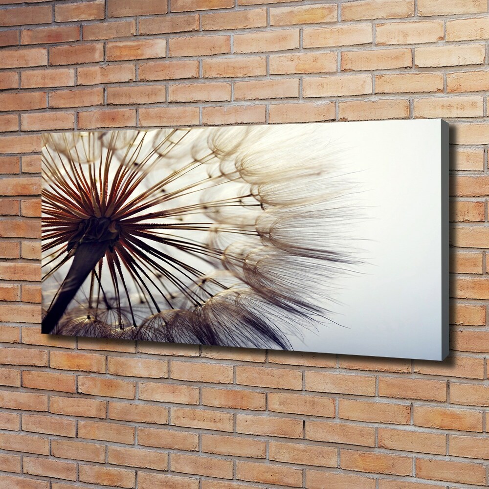 Foto obraz canvas Dmuchawiec