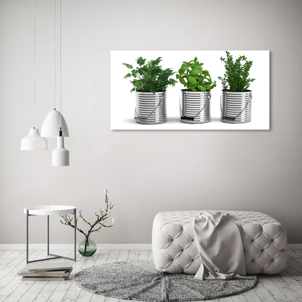 Foto obraz na płótnie Aromatyczne rośliny