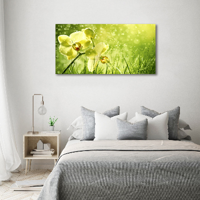 Foto obraz canvas Orchidea