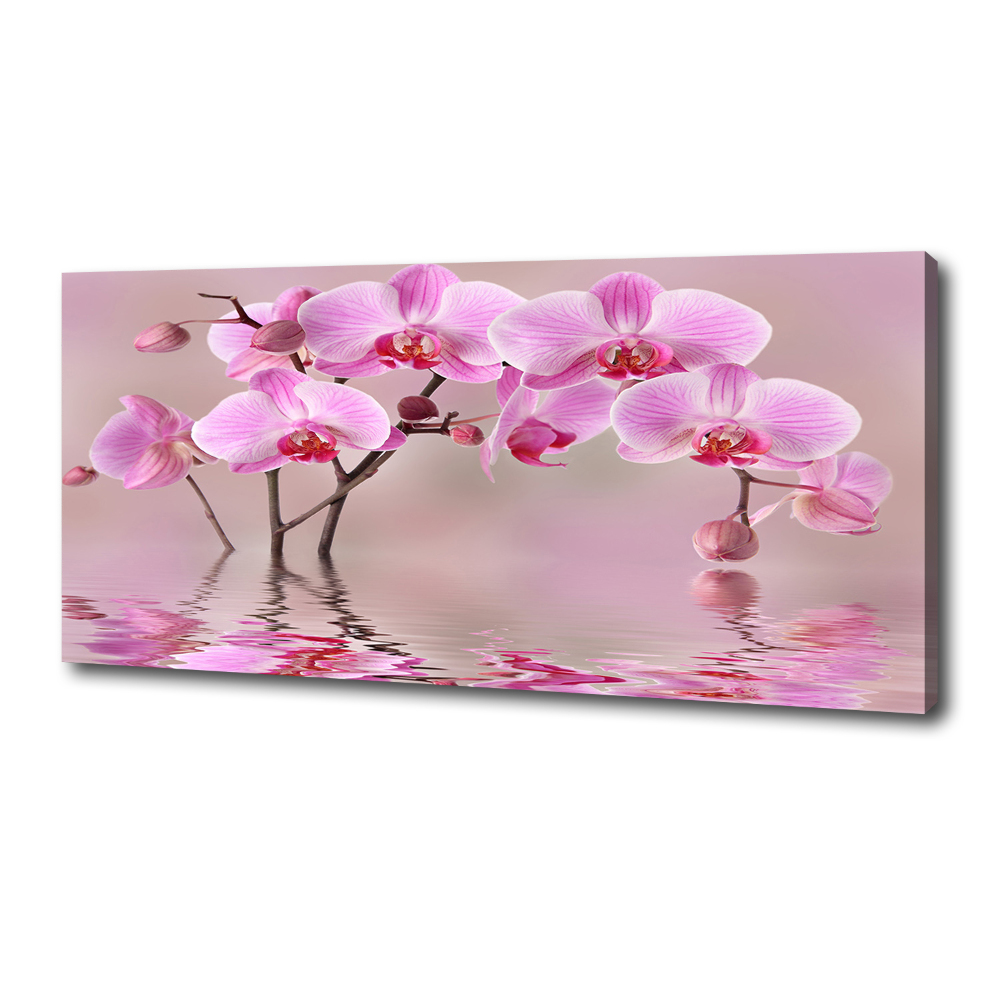 Foto obraz na płótnie Różowa orchidea