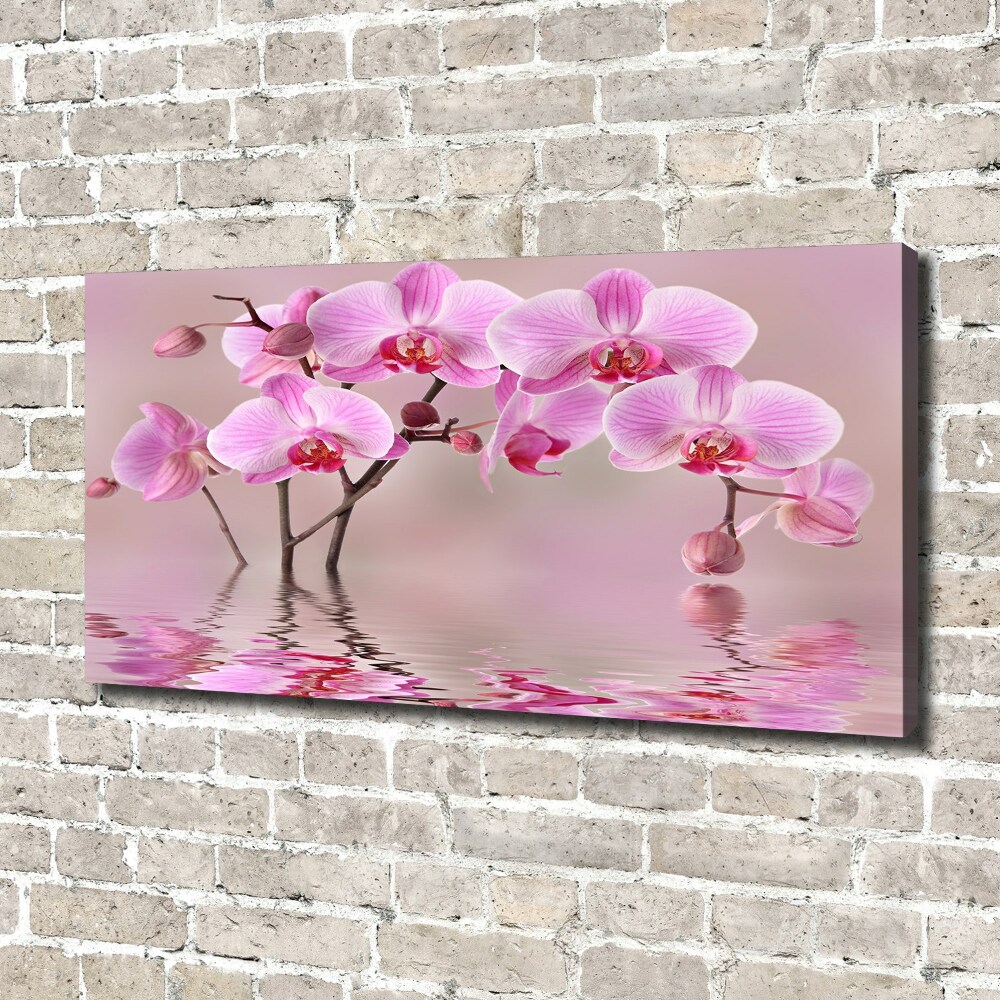 Foto obraz na płótnie Różowa orchidea