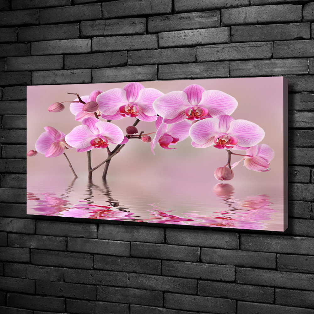 Foto obraz na płótnie Różowa orchidea