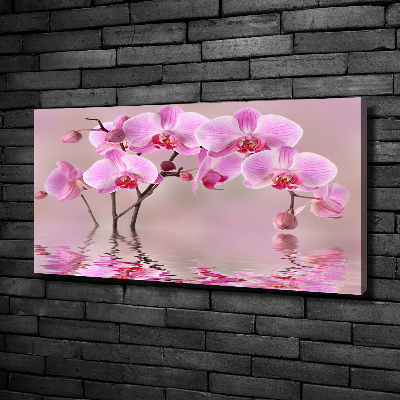 Foto obraz na płótnie Różowa orchidea