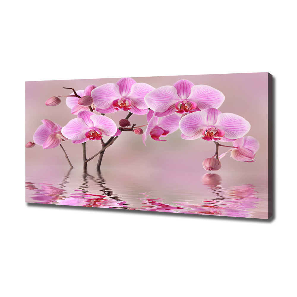 Foto obraz na płótnie Różowa orchidea
