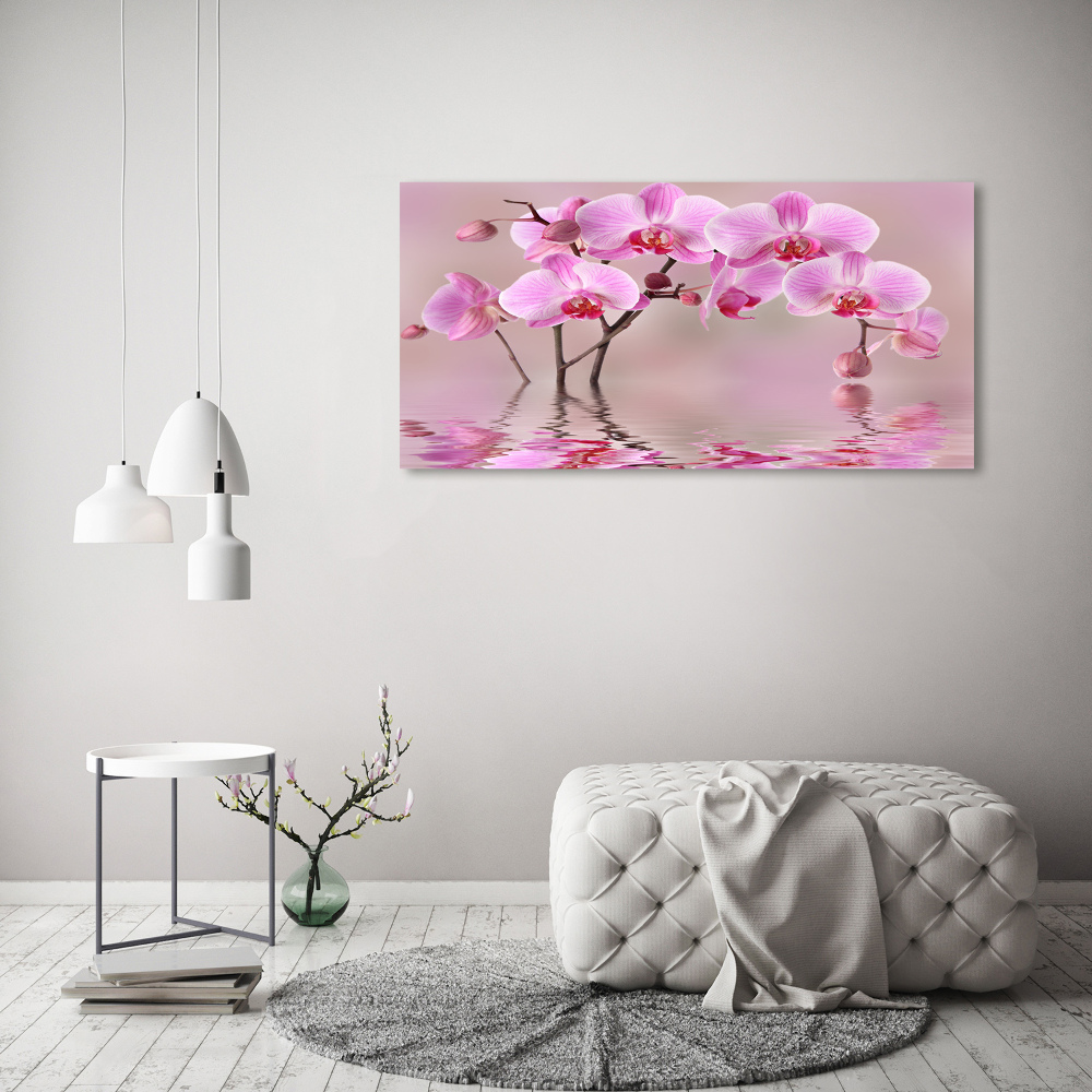 Foto obraz na płótnie Różowa orchidea
