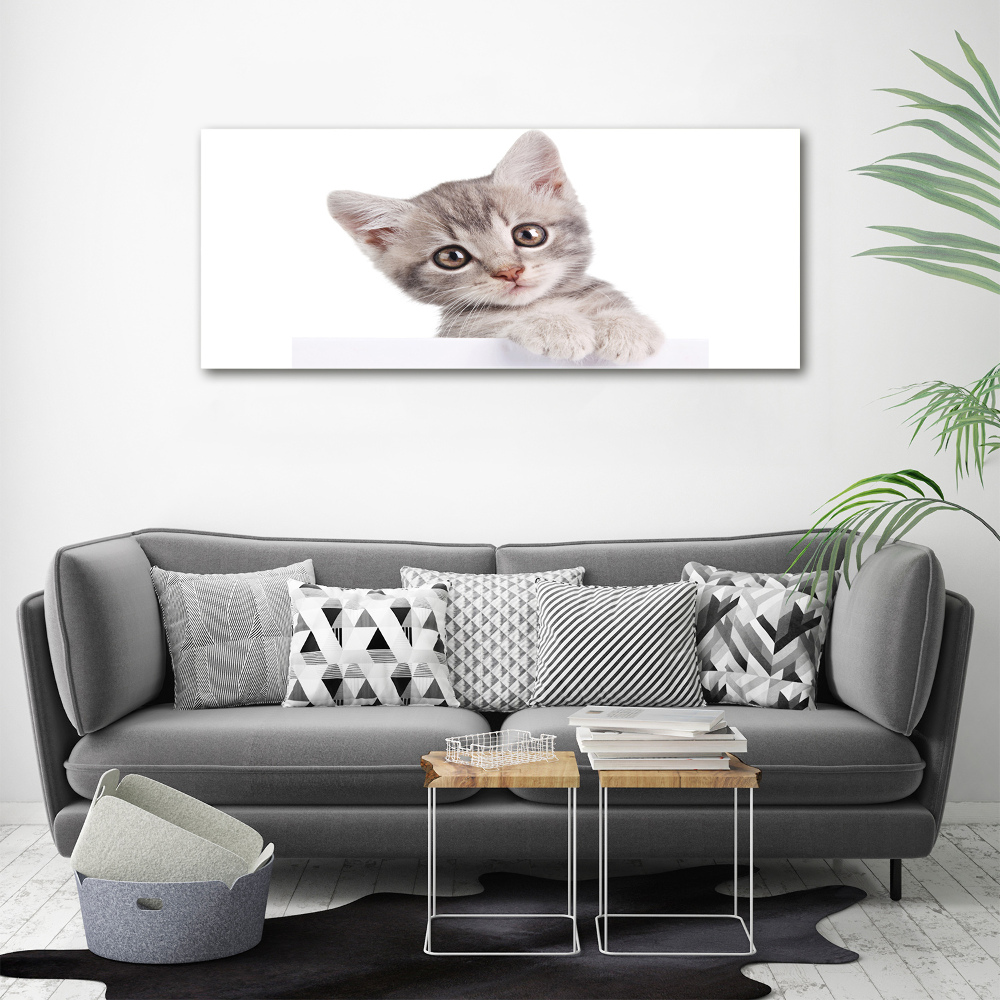Foto obraz canvas Szary kot