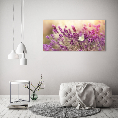 Foto obraz canvas Lawenda
