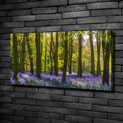 Foto obraz canvas Las wiosną