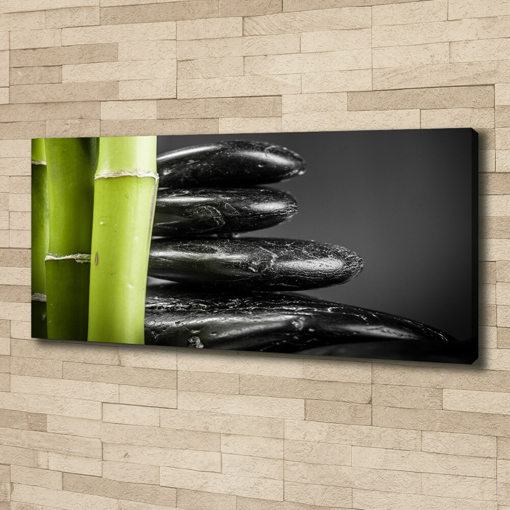 Duży foto obraz na ścianę canvas Bambus