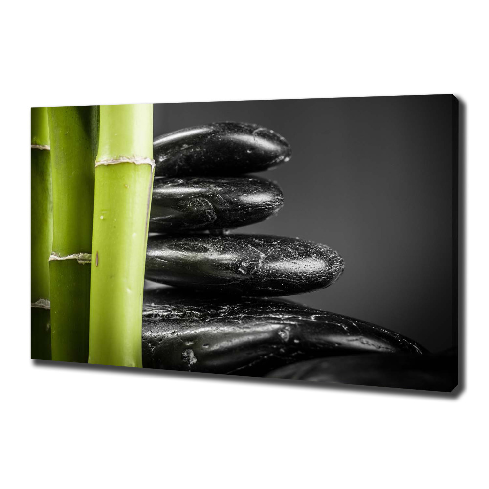 Duży foto obraz na ścianę canvas Bambus