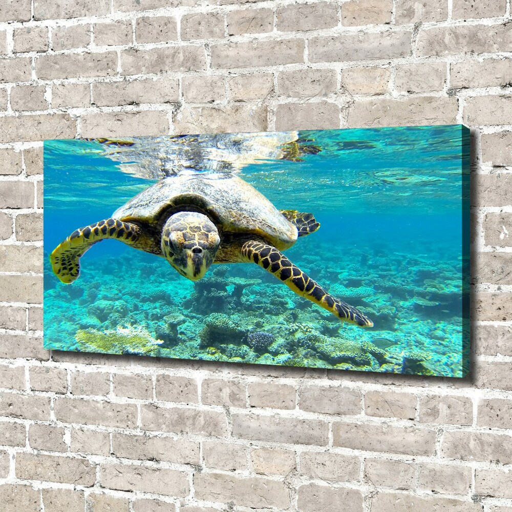Foto obraz canvas Żółw morski