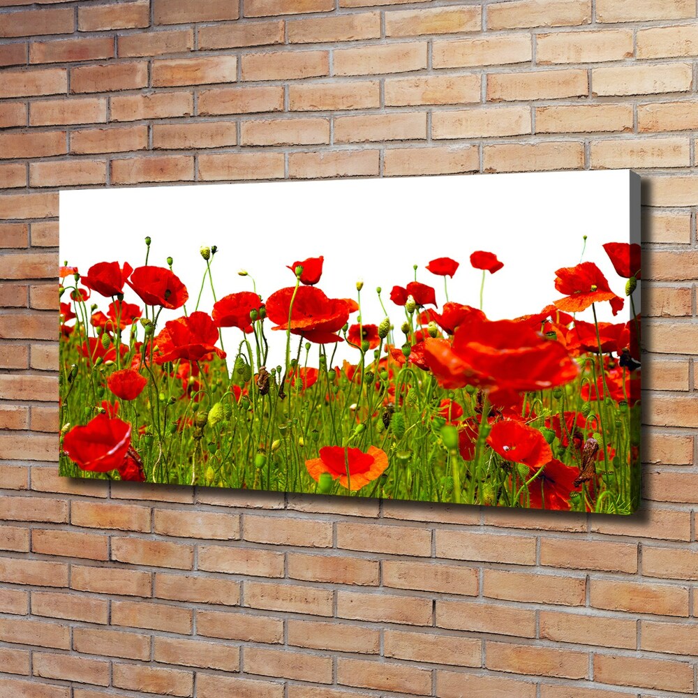 Foto obraz canvas Polne maki